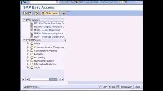 SAP BASIS AND NETWEAVER