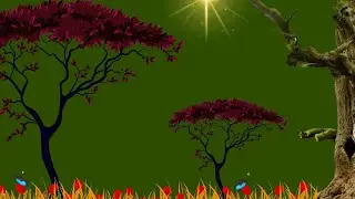 Green Screen Background Video effects hd | Jungle Green Screen Video | Sun Green Screen Animation