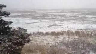 It's snowing again! Cape Cod, Eastham (HD)