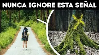 100+ Consejos de Supervivencia para Cuando las Cosas se Pongan Difíciles