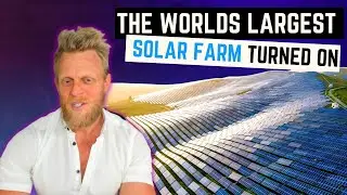 Why the worlds largest solar farm has created so much controversy...