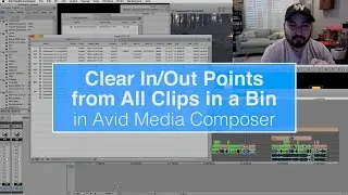 Remove All In and Out Points from Clips in Bin in Avid Media Composer