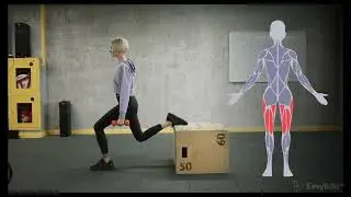 Fitness Pro | Premiere Pro Templates Free Download Zip