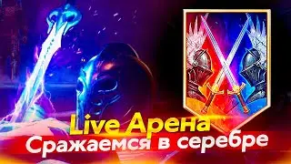 Стрим № 322 Капитан Пёсик Raid Shadow Legends