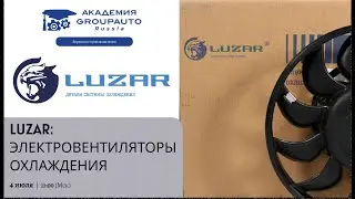 Воркшоп с LUZAR: электровентиляторы охлаждения #luzar #академиягрупавто
