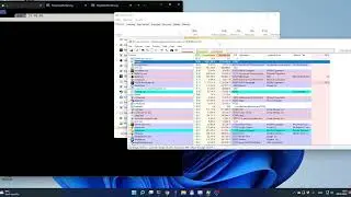 Problem with vmmem / VmmemWSL high CPU usage (WSL2)