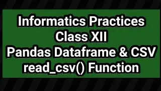 Import data from file to dataframe | read_csv function | Data handling using Pandas - I | IP 12