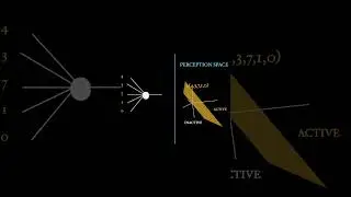 How AI Systems Represent Concepts  #ai  #ailearning