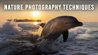 Photo Hacks to Improve Your Nature Photography