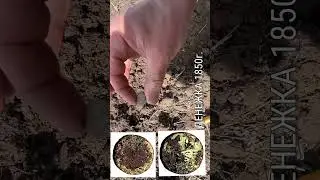 Денежка 1850г! #metaldetecting #коп #metaldetector #раскопки