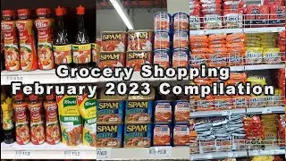 Compilation of Grocery Shopping Trips with Prices February 2023