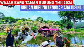 ADA RIBUAN BURUNG DI TEMPAT INI‼️ WAJAH BARU TAMAN BURUNG TMII JAGAT SATWA NUSANTARA 2024‼️