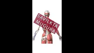 Savilkta mugura, kas tas ir?