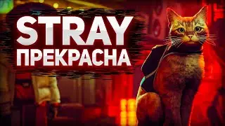 ОБЗОР Stray | СТРЕЙ ЛУЧШАЯ ИНДИ ИГРА | стрей игра про котика