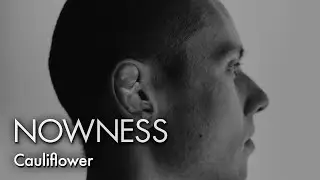 A surreal study of the cauliflower ear as fighter’s trophy or brutal deformity