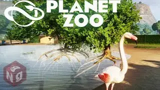 Planet Zoo - Фламинго ОБЫКНОВЕННЫЙ! #3