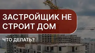 Куда обращаться если застройщик не строит | Что делать, если застройщик задерживает сдачу