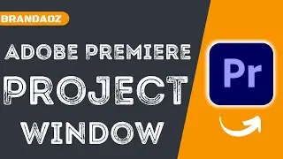 Video Details & Project Window - Adobe Premiere Pro CC