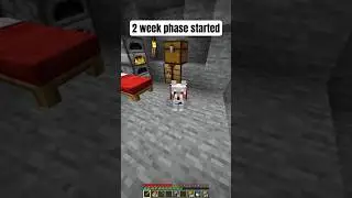 Minecraft 2 week phase
