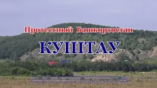 Протестный Башкортостан. Куштау