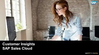 Customer Insights - SAP Sales Cloud