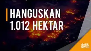 Ngeri! Kebakaran Hebat Kembali Terjadi di California