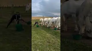 28 июля 2024 г.