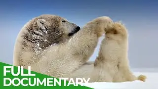 Gates of the Arctic - America's Most Remote National Park | Free Documentary Nature