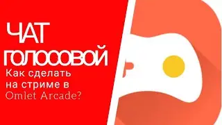 Как подключиться к голосовому чату во время стрима через Omlet Arcade🤔🎙️