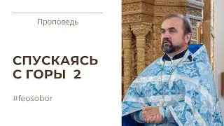 Для того, кто верит, нет невозможного. Проповедь протоиерея Александра Сорокина