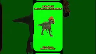 DINOSAUR video footage green screen. Chromakey animation GREEN SCREEN.