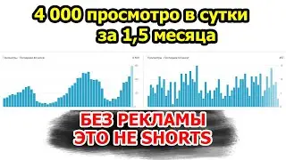 Как я раскрутил ютуб канал до 4000 просмотрев в сутки за 1,5 месяца