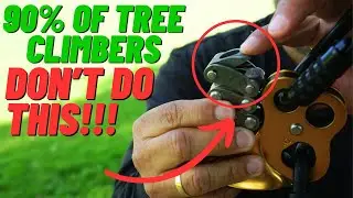Tree Climbers Beware! Do This Every Time You Climb With Your ZigZag