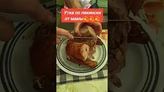 Безумно вкусный выезд на Ириклу,вместо рыбы попалась утка!😊