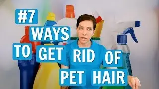 Pet Hair Removal - 7 Best Ways