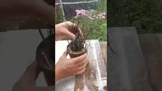Из двух консервных банок получилась походная печь!