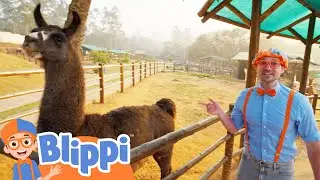 Petting Zoo Learning Adventure | Blippi Educational Videos For Kids | Toddler Learning Cartoons