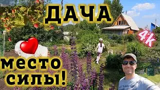 Моя красивая Русская Дача - Место СИЛЫ! Настоящая Русская Дача и огород построенные своими руками!