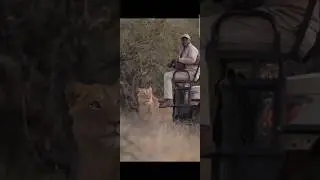 Ban gya Kutta dekho #viralvideo #viral #viralreels #funny