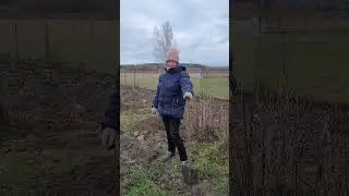 Деревня Толкачевичи Минской области под прекрасную песню