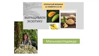 Выращиваем экзотические растения дома. Манькова Надежда