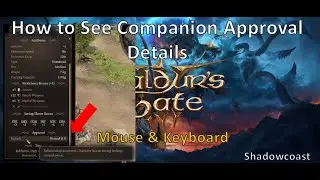 How to See Companion Approval Rating & Details in Baldur's Gate 3! Companion Opinion or Attitude!