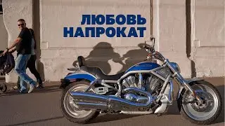 Harley Davidson V-rod VRSCA 2003 г.
