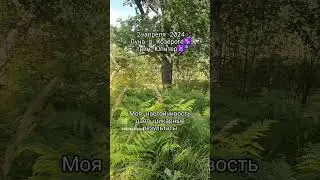 #астрология