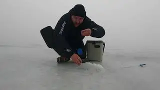 ЯМА ПОЛНАЯ ЛЕЩА ! ОНИ КЛЮЮТ ОДИН ЗА ОДНИМ !