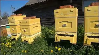 Индикатор расширения гнезда магазином!