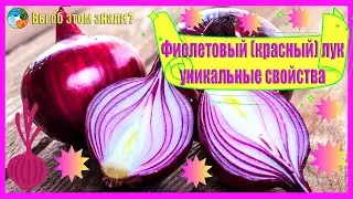 Фиолетовый (красный) лук — уникальные свойства