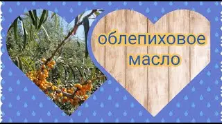 Облепиховое масло из жмыха и косточек, как приготовить