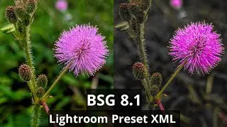 BSG 8.1 Gcam || Lightroom Preset XML || BSG Best Configs || Android 10 Minimum....