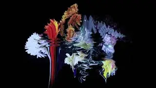 WILDES - Let You Go